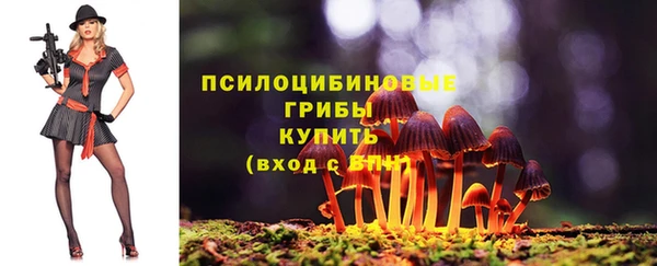 соль ск Волосово