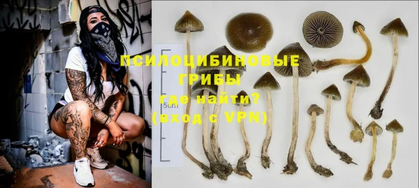 2c-b Вяземский
